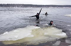 Ѹ����� ��&nbsp;�������